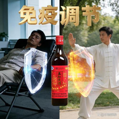 养生酒品牌高性价比推荐 找到健康与美味的完美结合